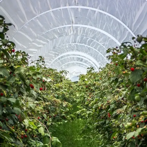 Plásticos Sector Agrícolas