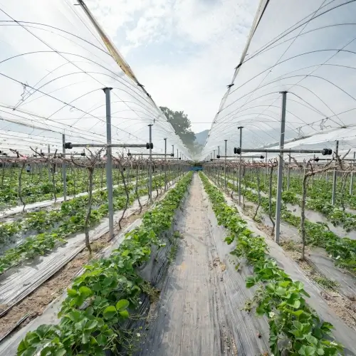 Fábrica de plásticos para el agro