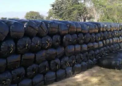 Bolsas de ensilaje